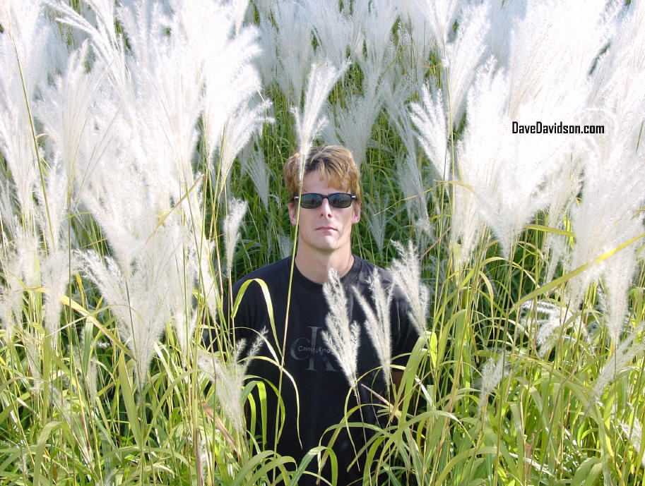 Dave in Tall Weeds