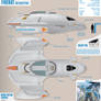 Firebat Interceptor Star Trek
