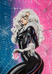 Black Cat