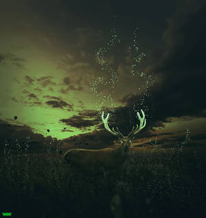 Deer leader by naradjou14