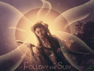 follow the sun