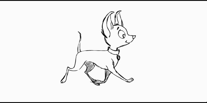 #the animation.#dog. Chihuahua