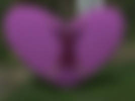 My Heart Goes Out To You.