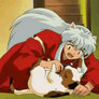 Inuyasha Plays With Buyo