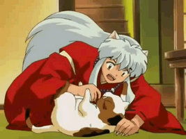 Inuyasha Plays With Buyo