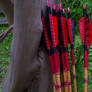 Custom Red Arrows