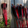 Red, Black, and Yellow Traditional Arrows