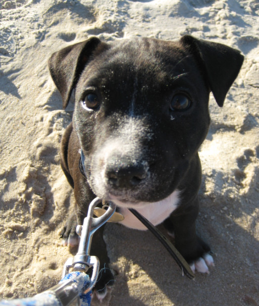 Meg in the sand