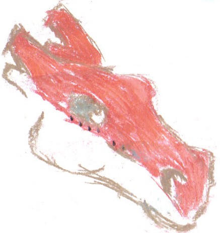 Ruby head 2 by Anilic on DeviantArt