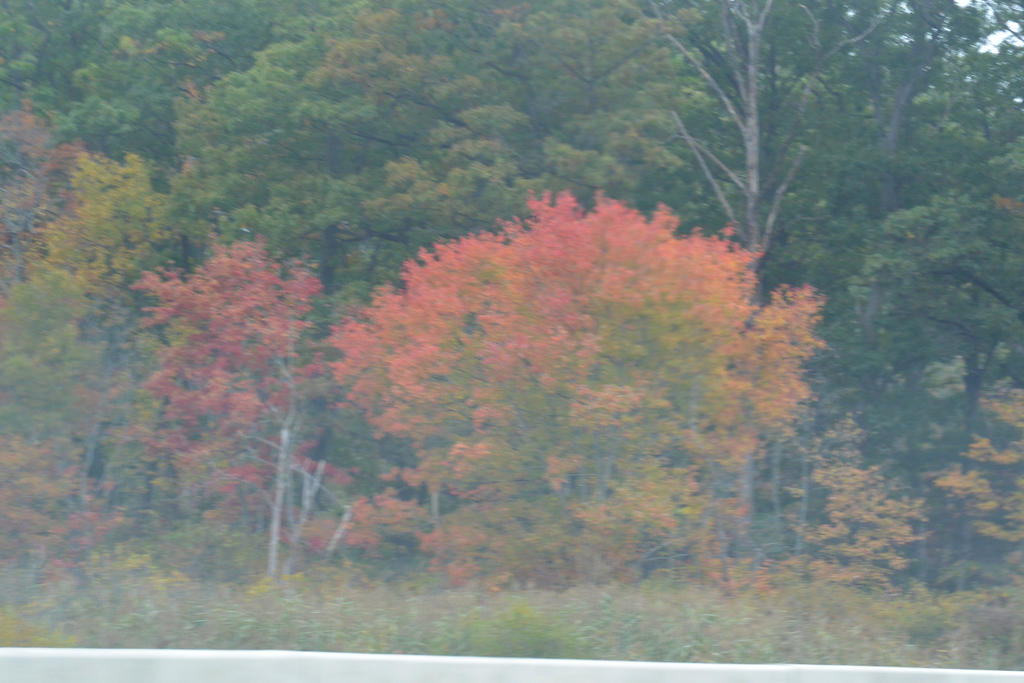 2014 Fall, Zooming By 6