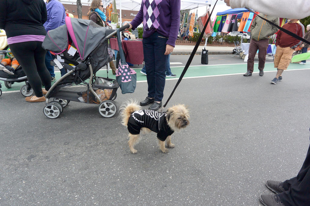 2014 Monster Bash, Skeledog