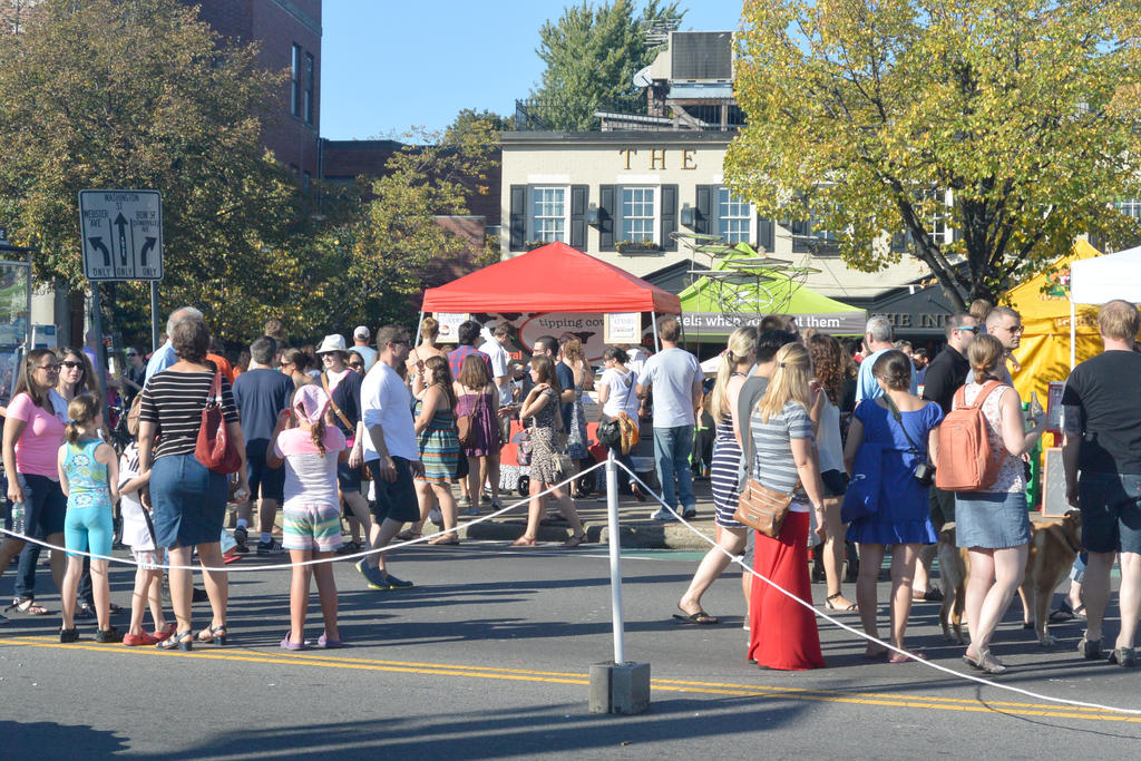 2014 Fluff Fest, the Crowd