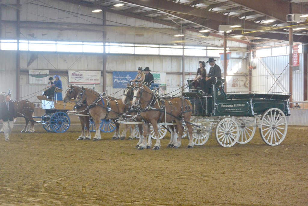 Topsfield Fair, Horse Handler Competition 2