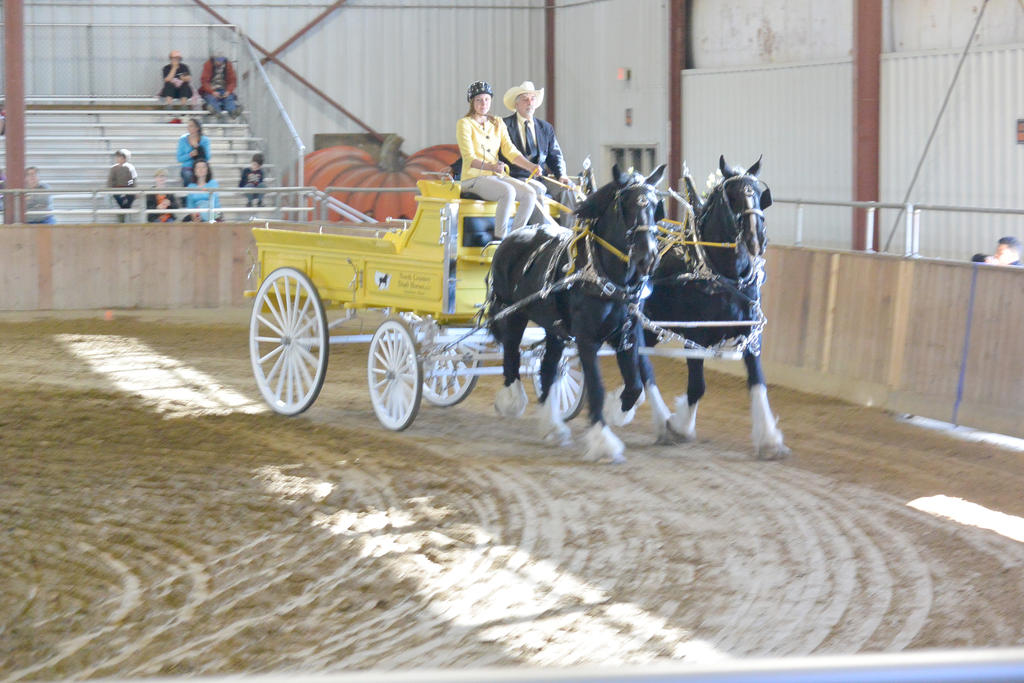 Topsfield Fair, Horse Handler Competition 8