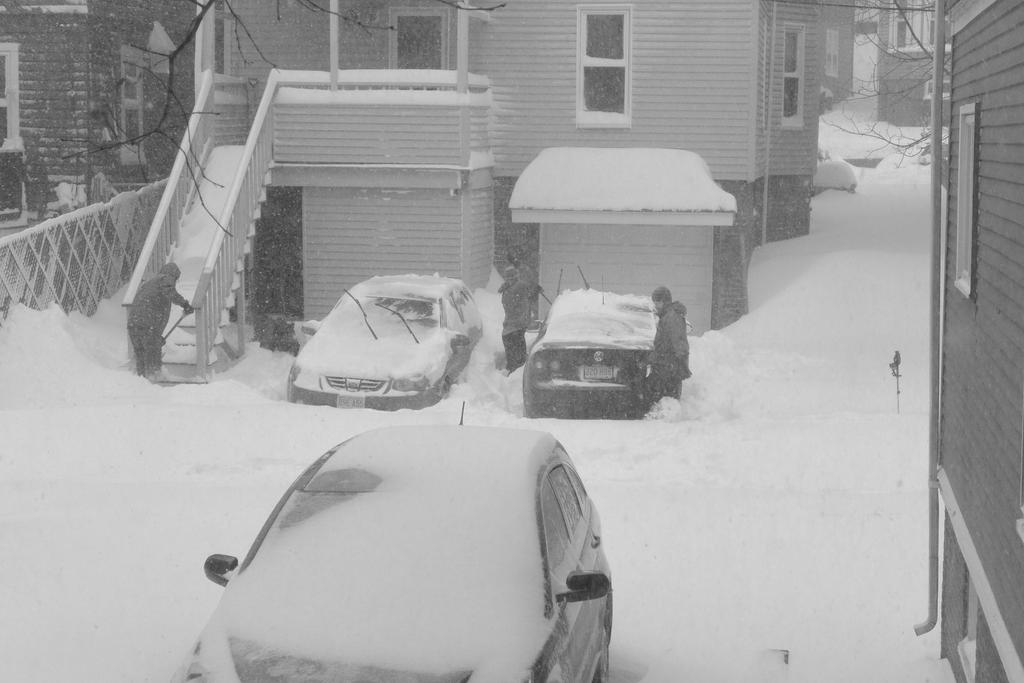 2015 January Blizzard, Clean Up Attempt