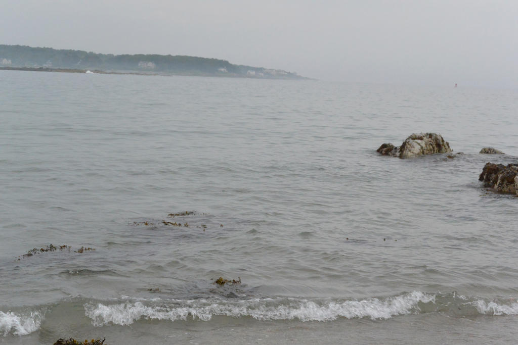 Mist Over Calm Water