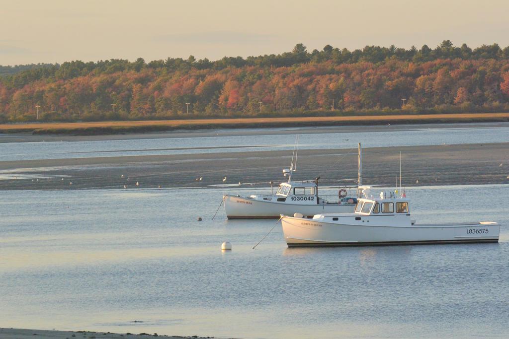 Sunset Autumn By the Water 3