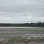 The Chocolate River By the Bay of Fundy 16