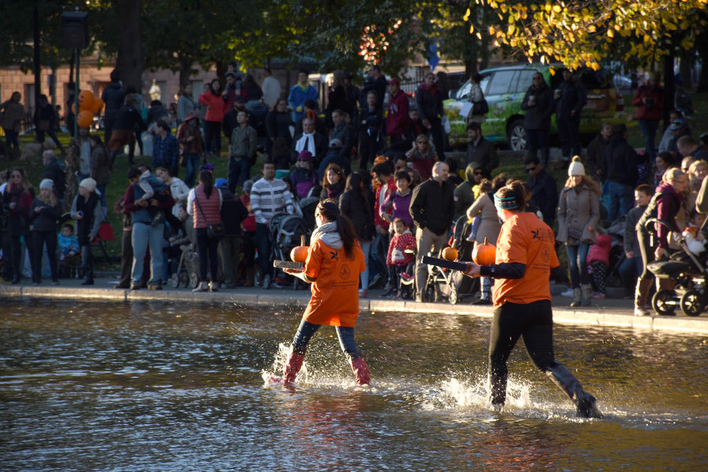 Jack O Lanterns Getting A Place On the Frog Pond