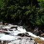 Wispy Waterfall Flow, White Mountains