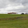 Foliage In the Distance, New York 2