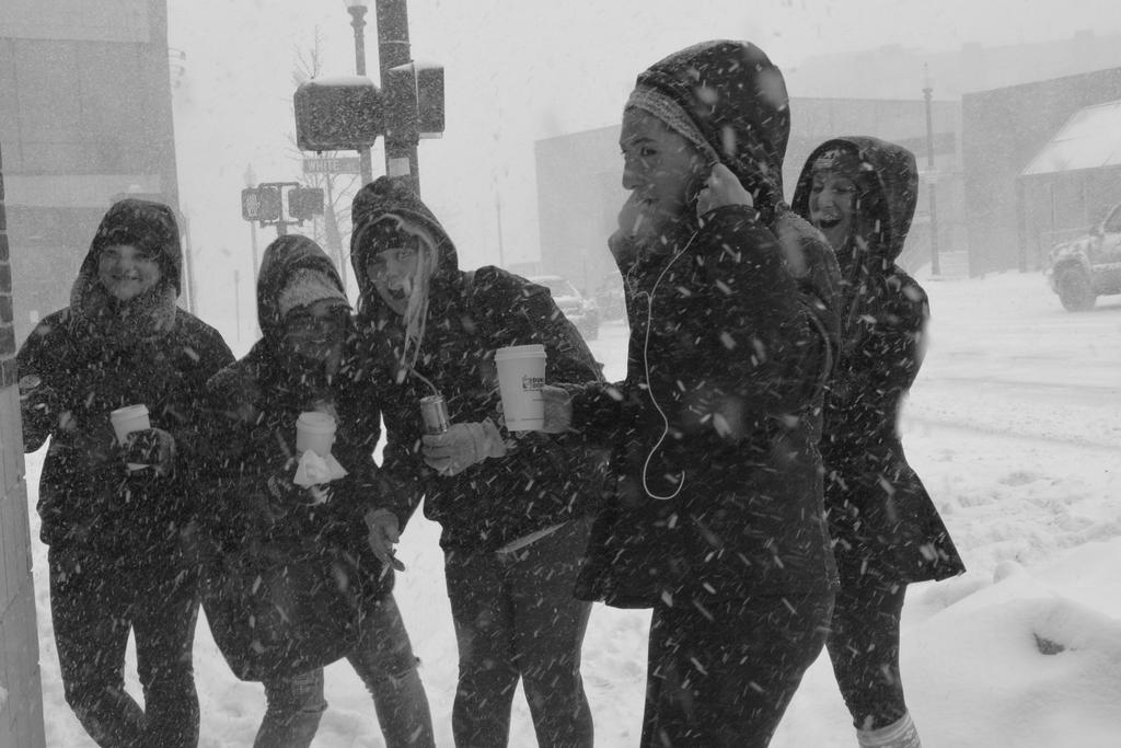 Snow Beauties In January Blizzard, 2018