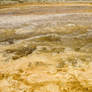 Bacteria of Ripples and Textures, Yellowstone