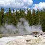 Steam and Little Water Spurts, Yellowstone 3