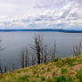 On A Yellowstone Mountain Side