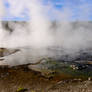 Steamy Hot Water With Bacteria, Yellowstone