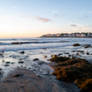 Beach Morning Light and Seaweed Piles 7