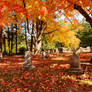 Burning Color In the Cemetery 6