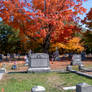 Burning Color In the Cemetery 16