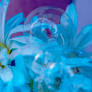 Blue Flowers and Freezing Bubble Crystles 2