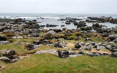 Giant's Causeway Beach Rocks/Pooling Ocean,Ireland