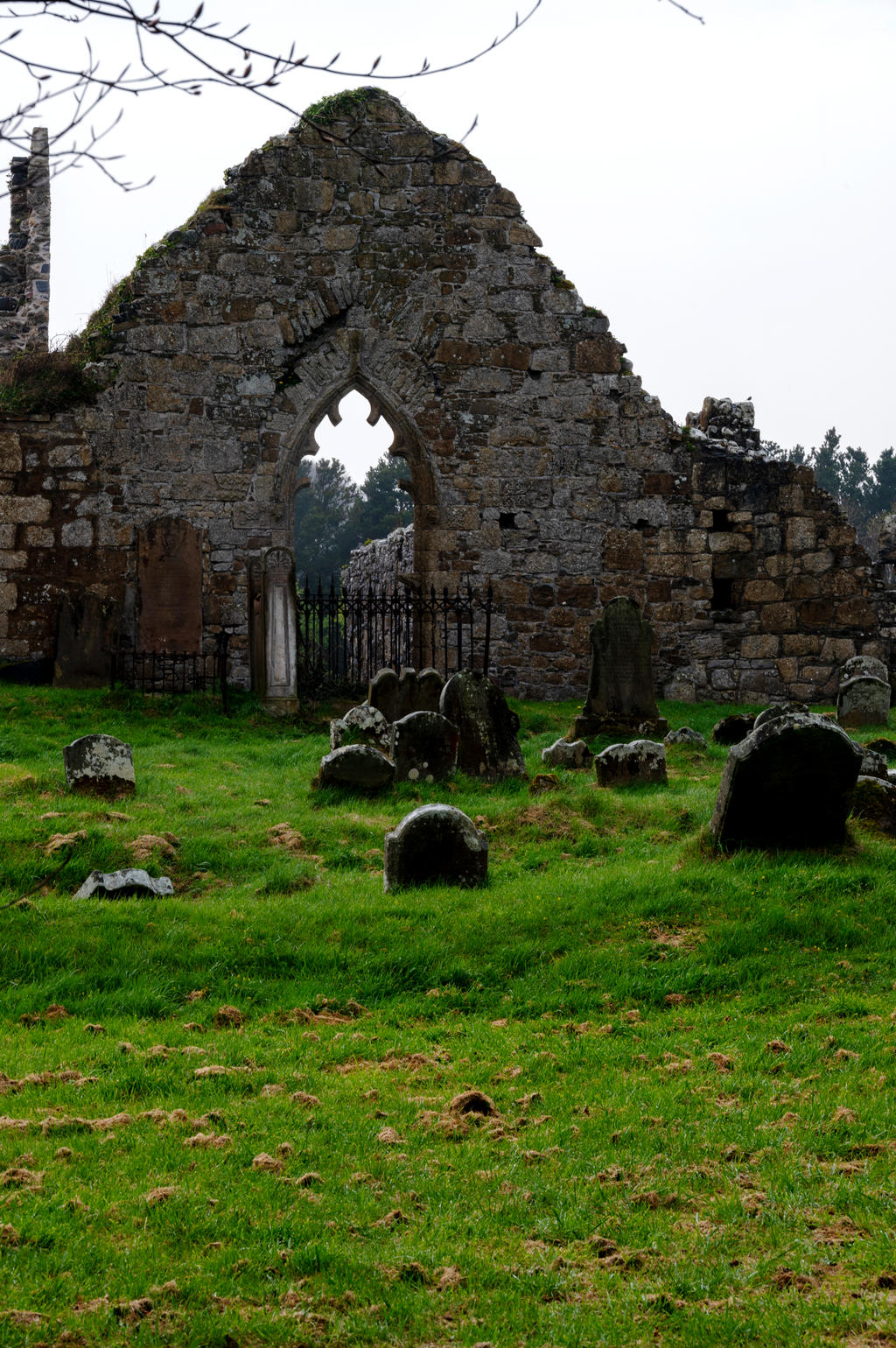 Goodwin Friary Bonamargy Friary, Ireland 2 by Miss-Tbones on DeviantArt