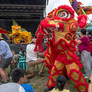 43rd Boston Hong Kong DBF,Dragon Dance Everywhere6