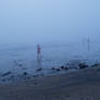Early Morning Beach Dwellers, Engulfed In Fog