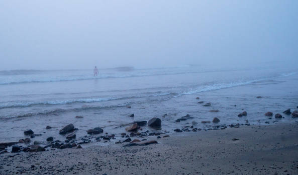 Early Morning Beach Dweller, Engulfed In Fog 2