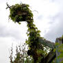 The Ivy Monster In the Fenway Gardens