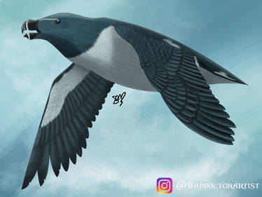 Minecraft Razorbill Explore the Best Razorbill Art | DeviantArt
