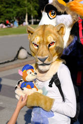 Zira Lioness fursuit