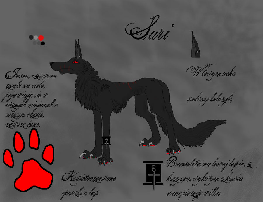 Suri Wraith Suri Character Sheet by FromDarkToEvilSuri on DeviantArt