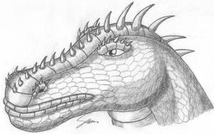 Dragon Head Sketch