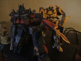 O-prime and Bumble bee #2