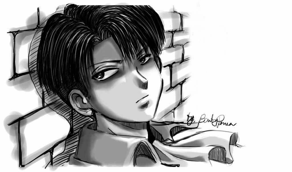 Levi Heichou