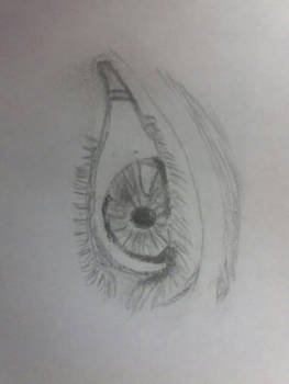 Eye