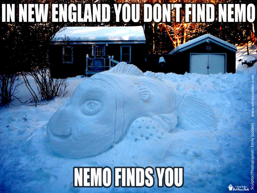 Snow Storm Nemo Meme