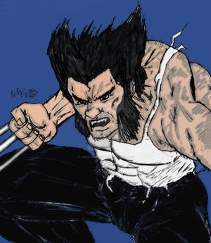 Wolverine: Rage From the Page