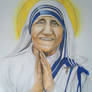 Watercolor And Drawing - Mother Teresa